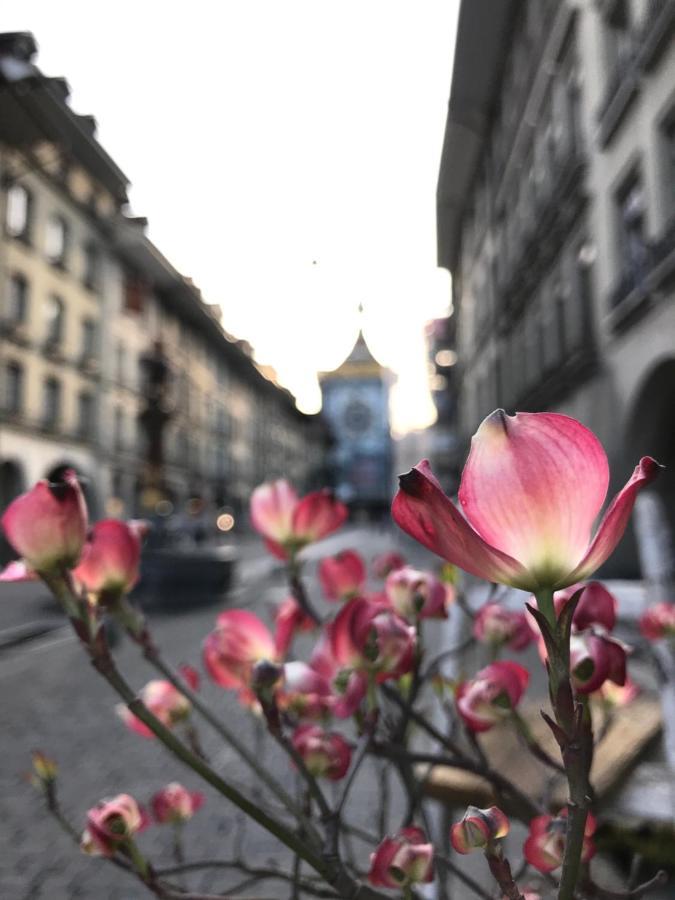 Historical, Bright & Beautiful In Old City - 3Rd Floor เบิร์น ภายนอก รูปภาพ
